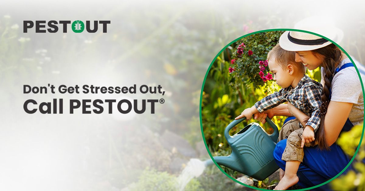 April 2021 Blogs Pest Control in Hampton Roads