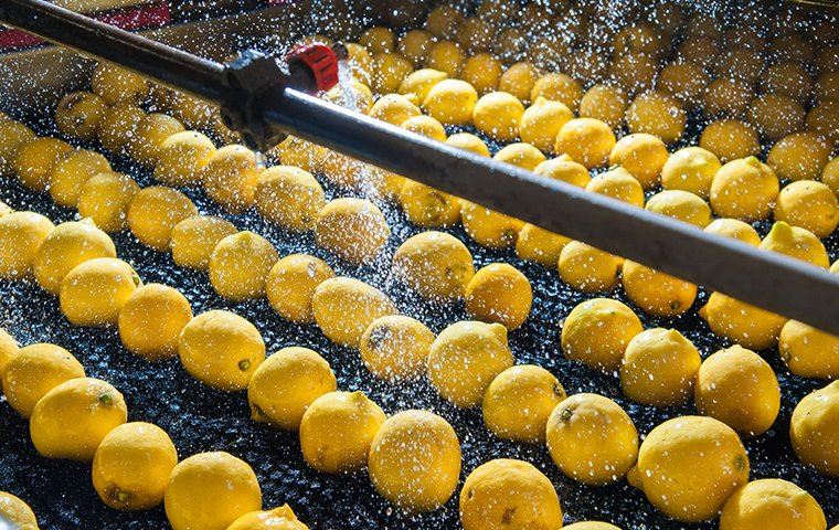 Food Processing Facilities