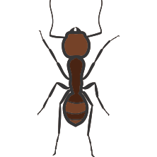 Commercial Pest Control