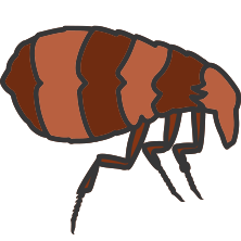 Flea, Tick, & Chigger Control