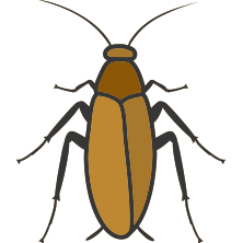 Residential Pest Control