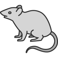 Rodent Control
