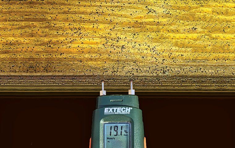 Bad Moisture Range is over 19%