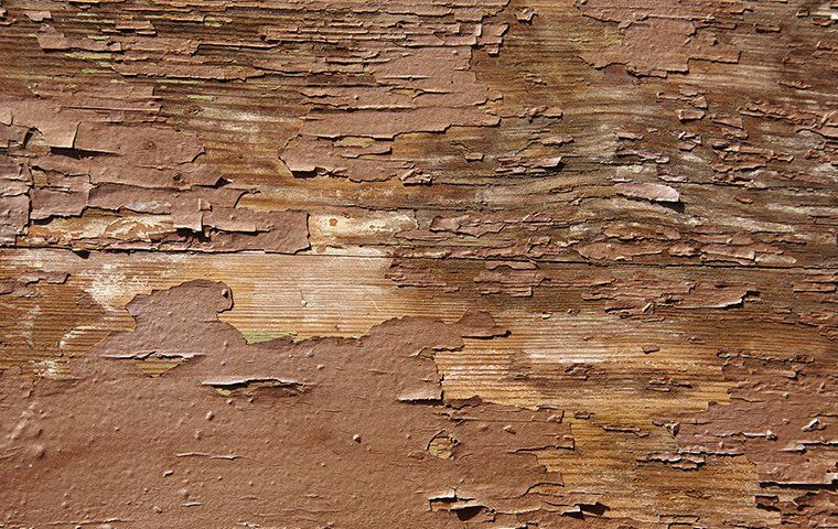 Moisture Decay Occurs at 25%